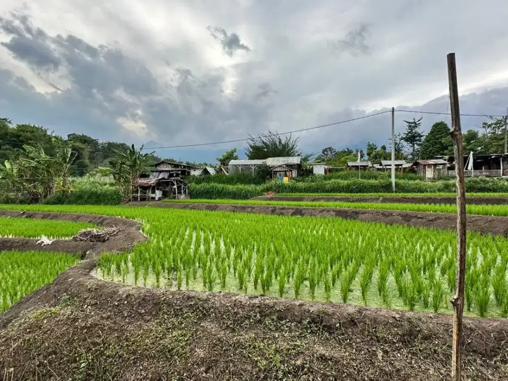 DIJUAL TANAH PREMIUM - POROS JALAN WISATA KOTA BATU ⛰️