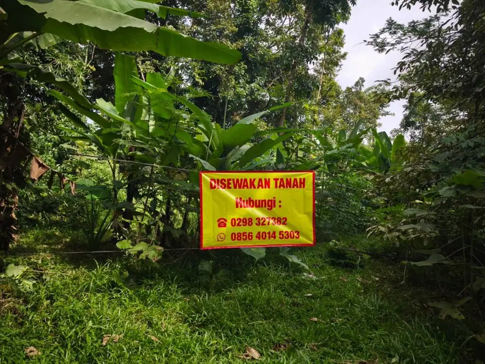 DISEWAKAN - TANAH STRATEGIS DEKAT JLS SALATIGA