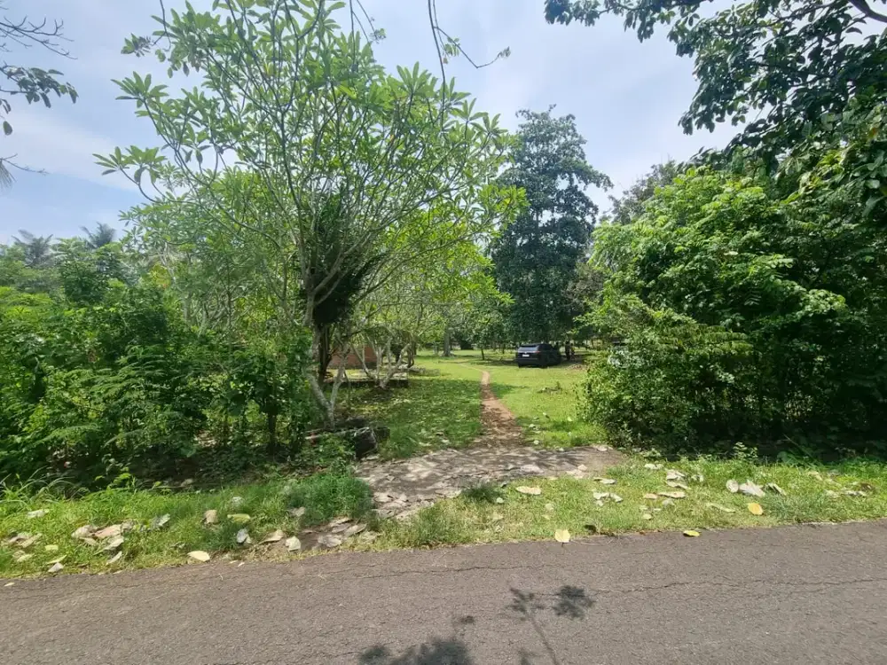 DIJUAL LAHAN STRATEGIS – NEGARA, JEMBRANA | POTENSI INVESTASI TINGGI