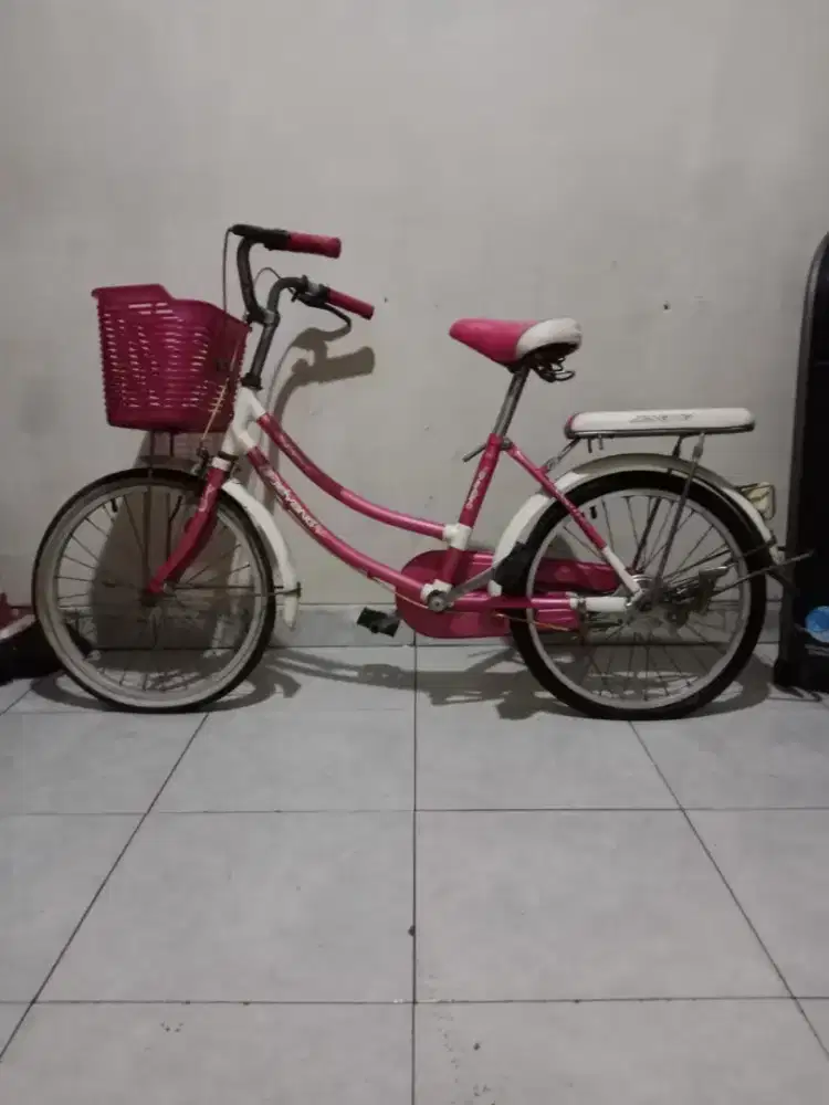 SEPEDA ANAK CEWE UKURAN 20