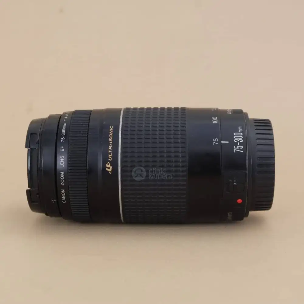 Canon EF 75-300mm III USM