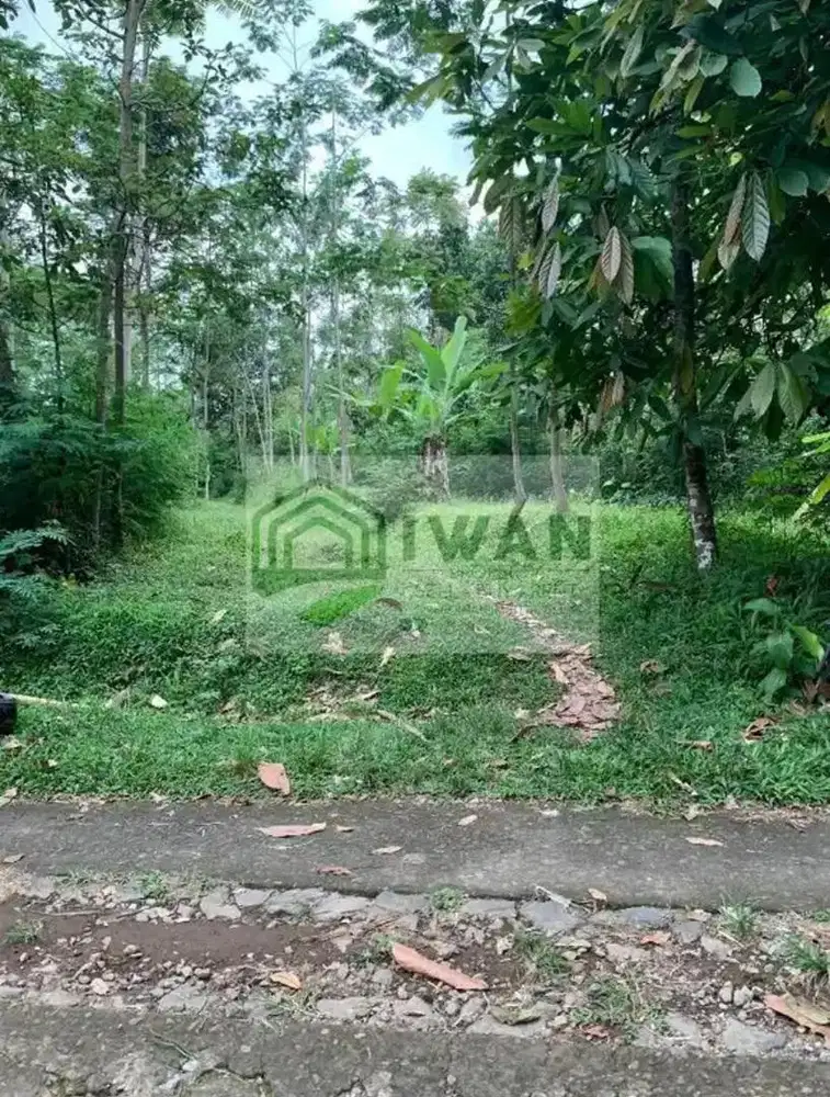 Tanah Iklim Sejuk Hadap Jalan Cor Bisa Perluasan