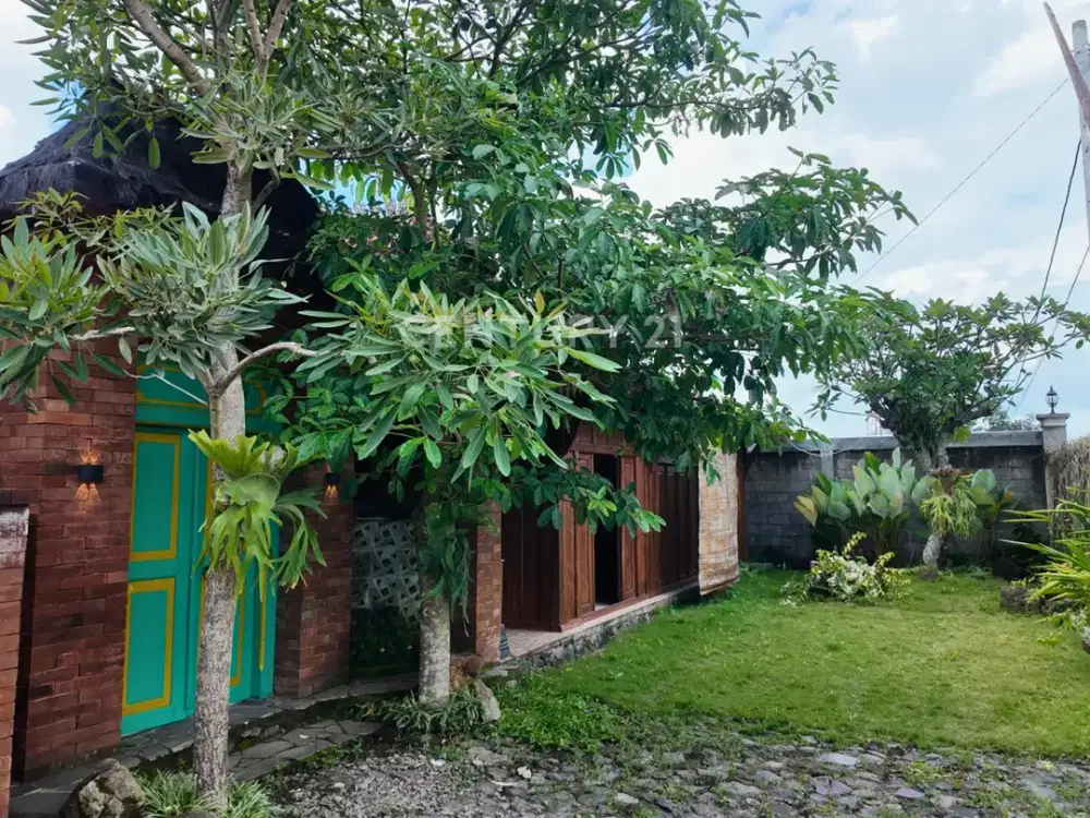 Rumah Limasan Di Jalan Kaliurang Cocok Untuk Resto Dan Kafe