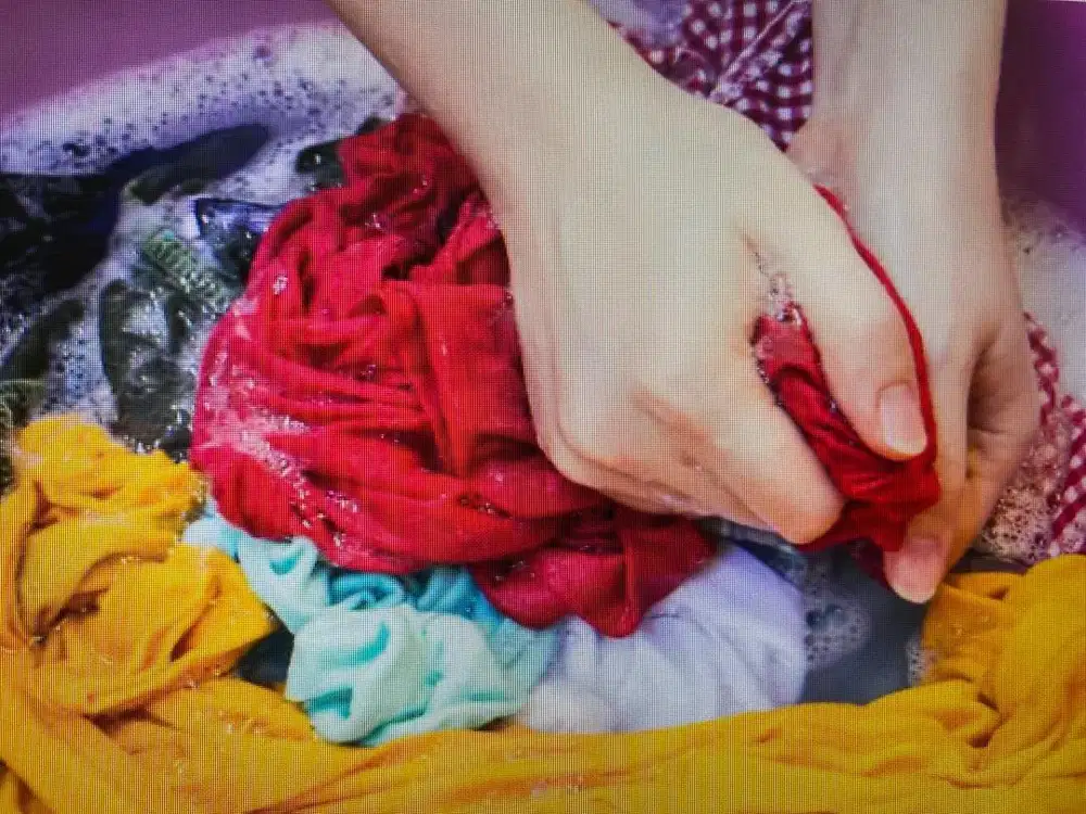 Profesional Washer Laundry