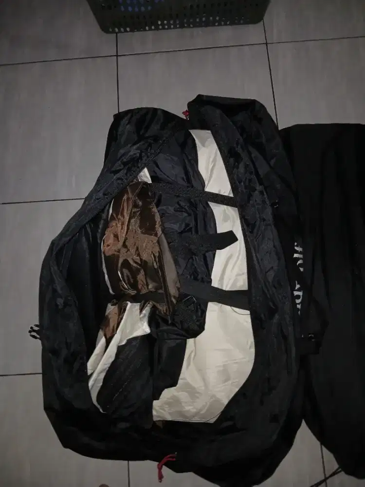 Tenda landwodf eclipta