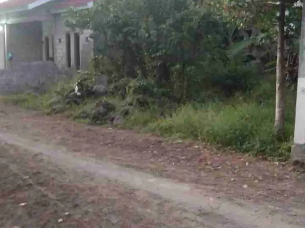 DIJUAL Tanah Utara Kampus Instiper Maguwoharjo