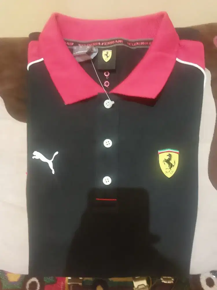 Puma ferarri ori