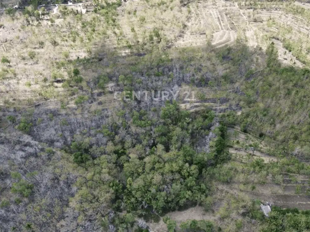Tanah Luas Cocok Untuk Resot Di Mulo Wonosari Gunung Kidul