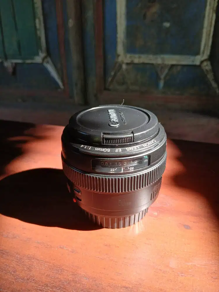 Canon 50mm f1.4 usm