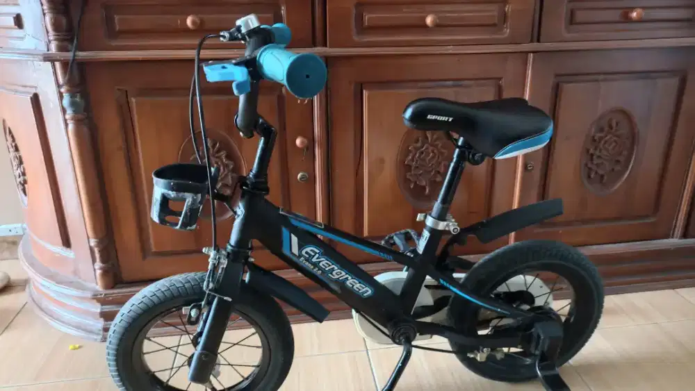 Sepeda Anak Laki Merk EVERGREEN Mulus
