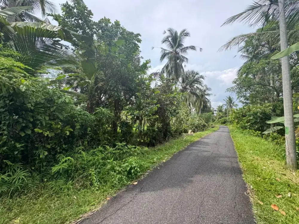 TANAH DIJUAL MURAH – DI BAWAH HARGA PASAR - MENDOYO JEMBRANA