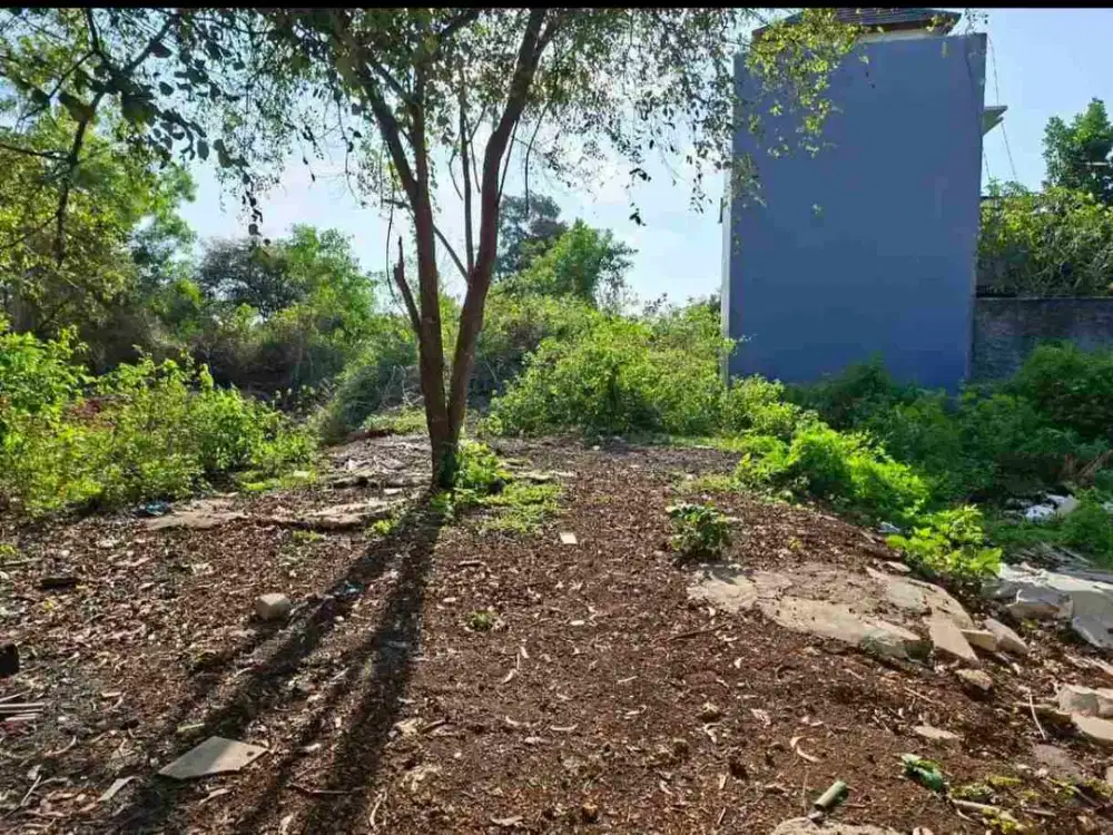 dijual tanah 1,65 are IDR global 1,3 M dikampus unud jimbaran Kuta Selatan Badung Bali