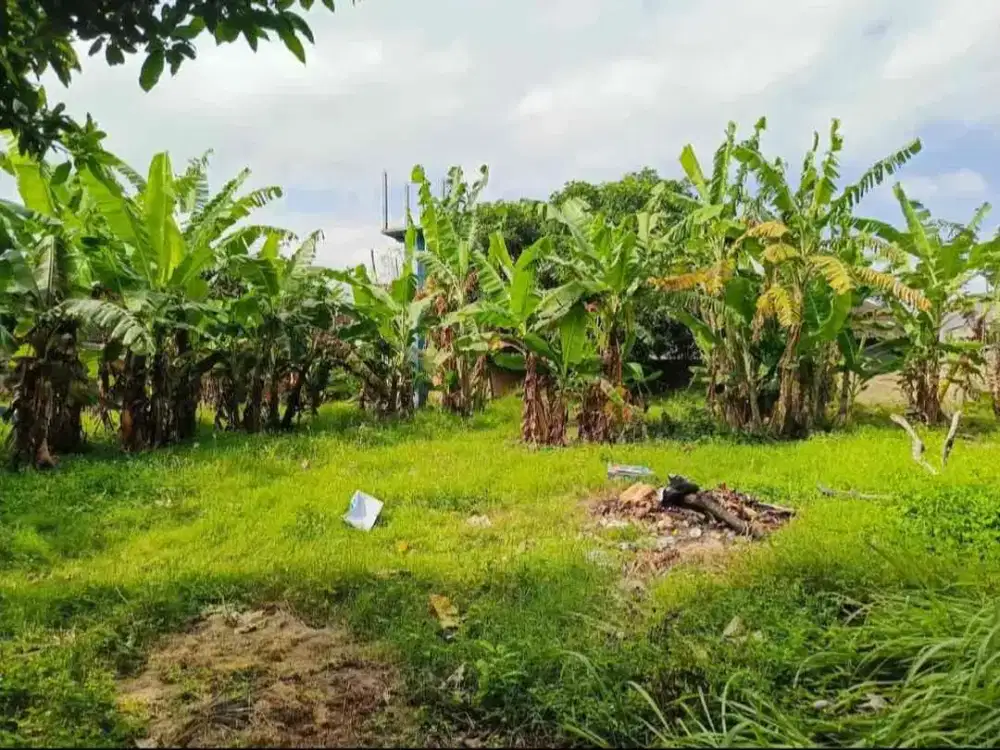 For sale tanah murah kawasan Villa2 yg berlokasi di Umalas