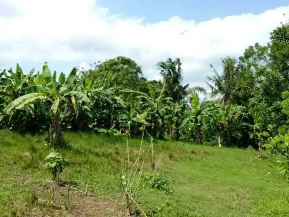Freehold - Land Near Balian Beach, Bali Only 200m to Shore