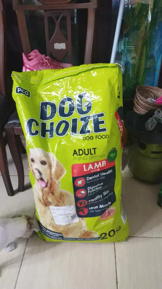 Makanan anjing dewasa