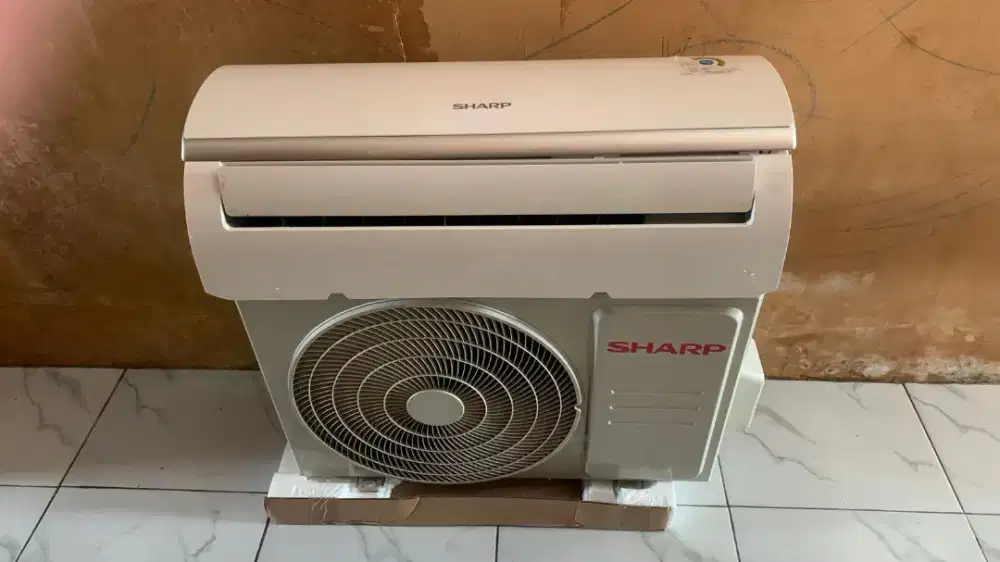 AC Sharp 1/2 PK Indoor Outdoor