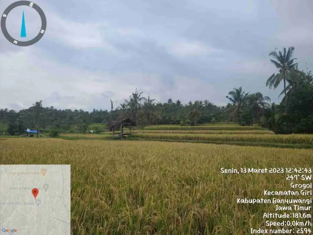 Dijual murah Via lelang Tanah sawah di Banyuwangi