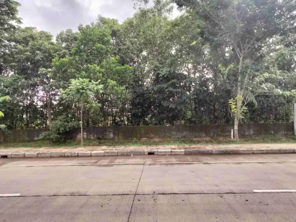 Tanah Keras Alang Alang lebar Palembang