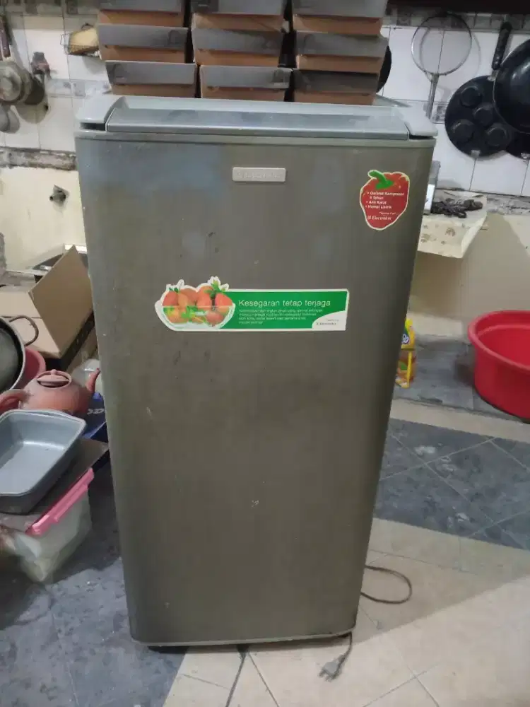 Kulkas Electrolux 1 Pintu