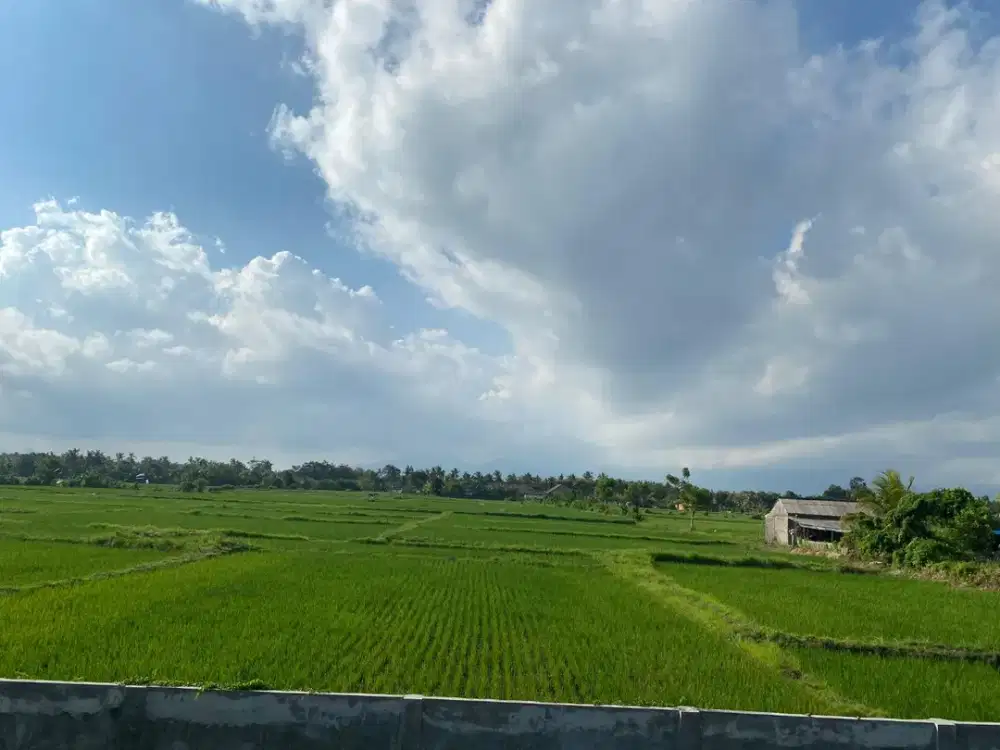 Dijual Tanah Strategis – Pengambengan, Negara, Bali