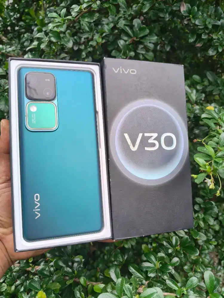 Vivo V30 (5g) mulus