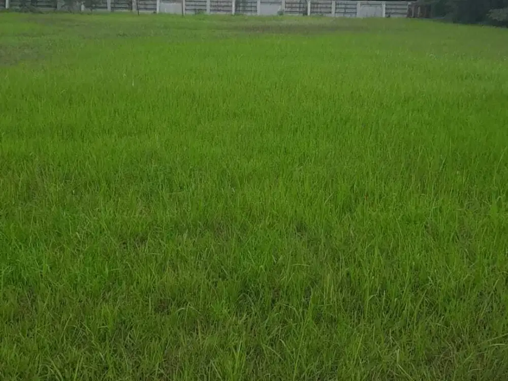 Jual Cepat Harga Terbaik Tanah Kavling Pabrik di Kawasan Jababeka 1