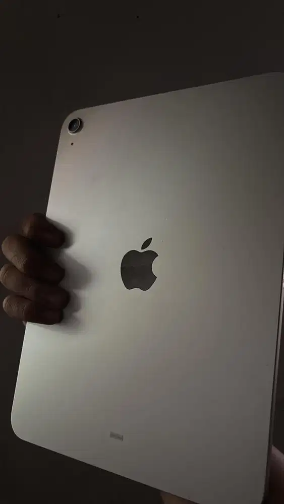 Ipad A16 (256gb) Wifi