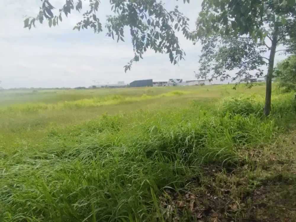 Dijual - Disewakan Kavling Komersil Di Thamrin PIK 2 Siap Huni Di Jakarta Utara