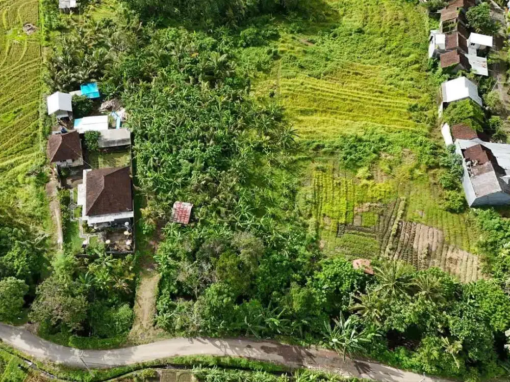 Dijual Tanah Kebun  View  Sawah Gunung Laut Dan Indahnya view Kota Di Tabanan Bali
