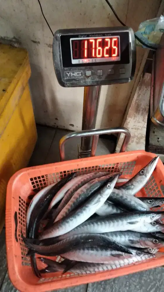 Loker bagian belanja sayuran