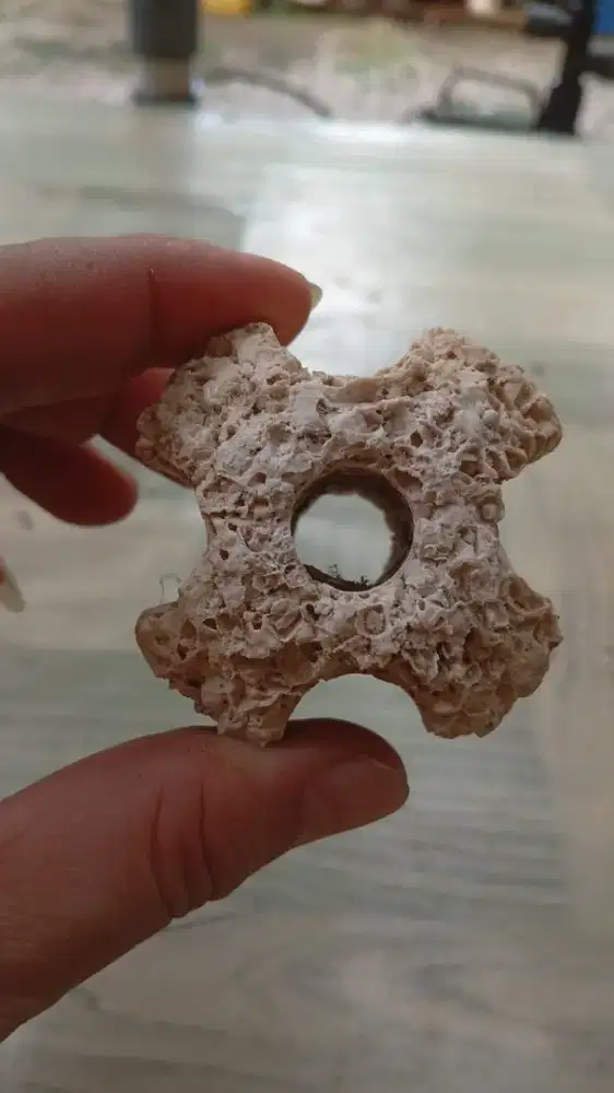 Media filter karang bunga kecil