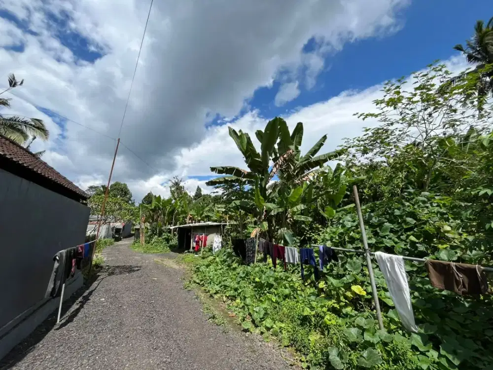 BUC Dijual Tanah strategis dekat dengan objek wisata dan resort ternama Desa Payangan Gianyar.