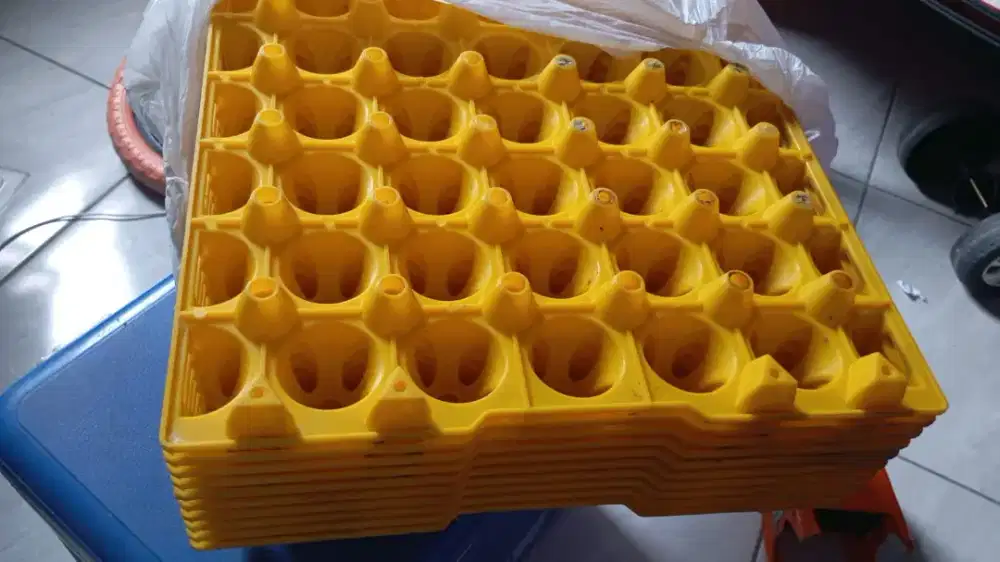 Eggtray wadah telur ayam bebek asin