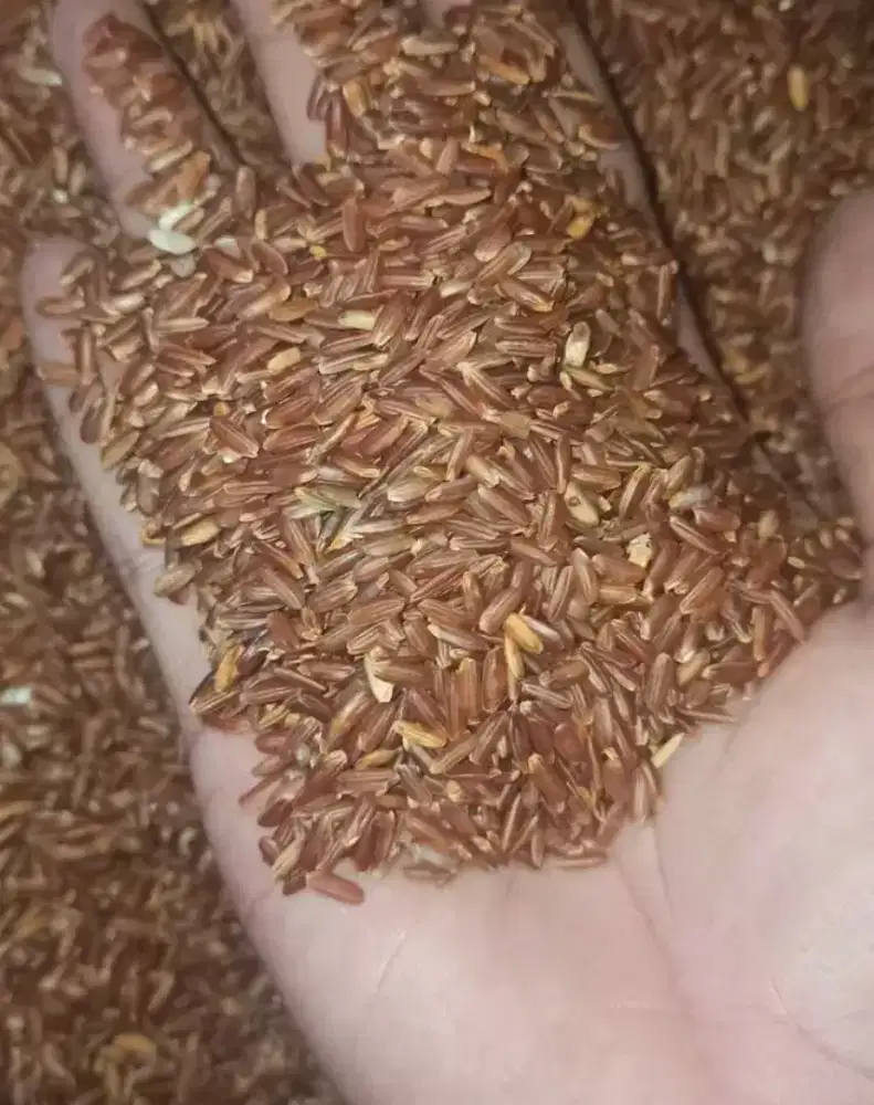 Beras merah untuk diet