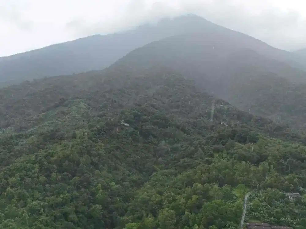 Dijual Tanah Kebun View Lembah Junggle Gunung Batukaru Tabanan Bali