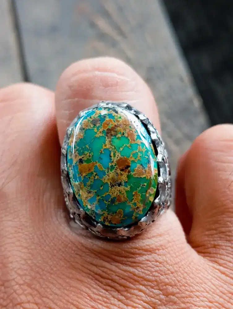 Pirus Persia Ijo Gradasi Urat Emas