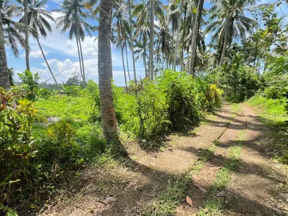 Dijual Tanah View Gunung Sawah Terasering Di Tabanan Bali