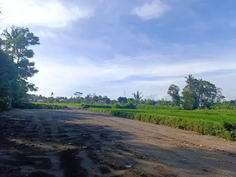 Tanah Sleman Strategis Mangku Jalan Raya, 5 Kantor Pemda