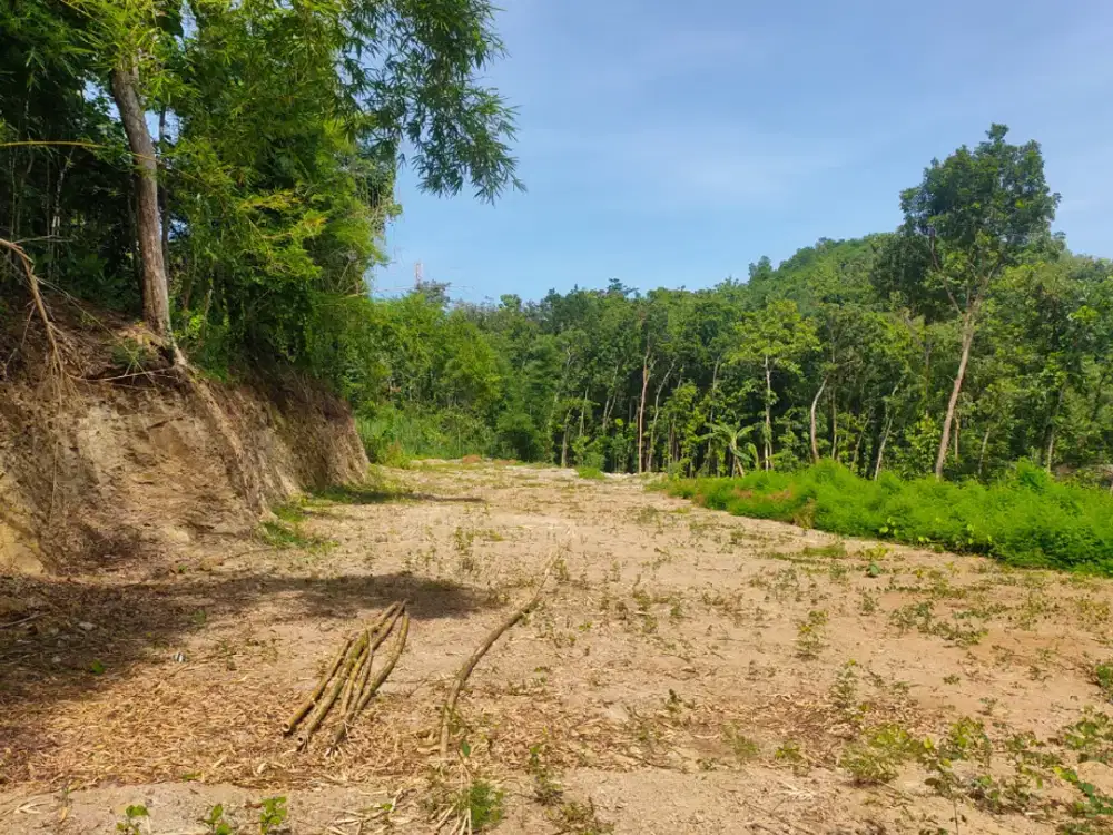 Tanah Bantul Murah 100 Jtan Akses Mobil