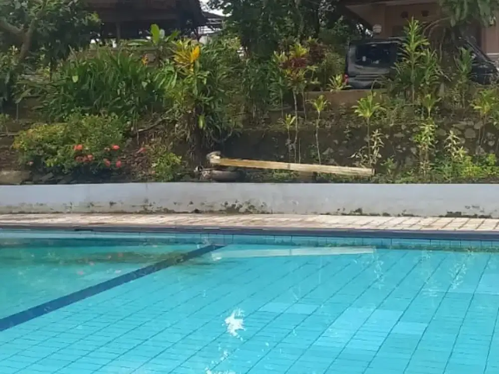 RUMAH GUESTHOUSE DENGAN SUASANA DESA DI CIOMAS BOGOR