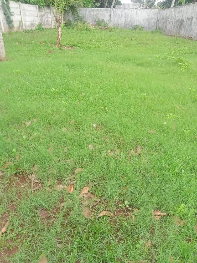 Di jual tanah 2,2 Hektar sudah SHM (2,2 jt per meter nego)