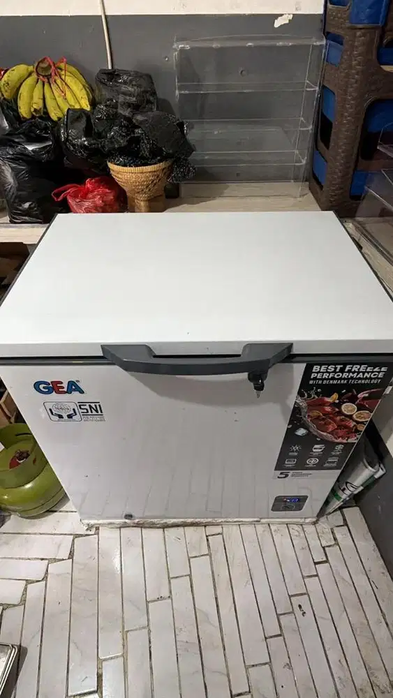 Freezer GEA ( 200 Liter)