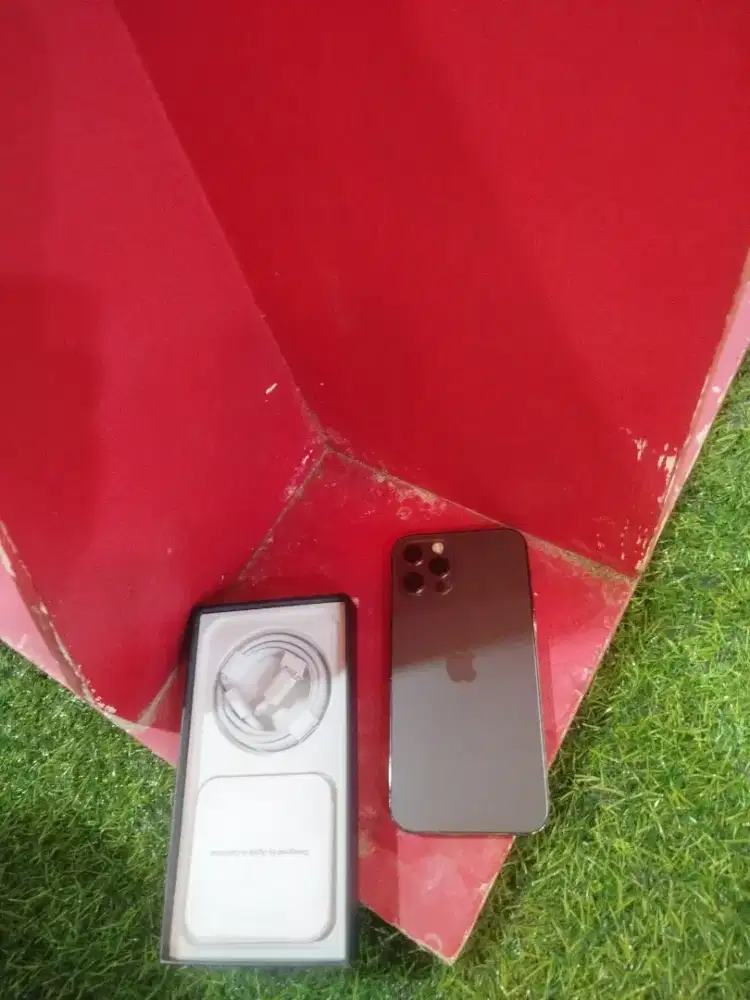 iPhone 11 pro 256gb pilihan alami