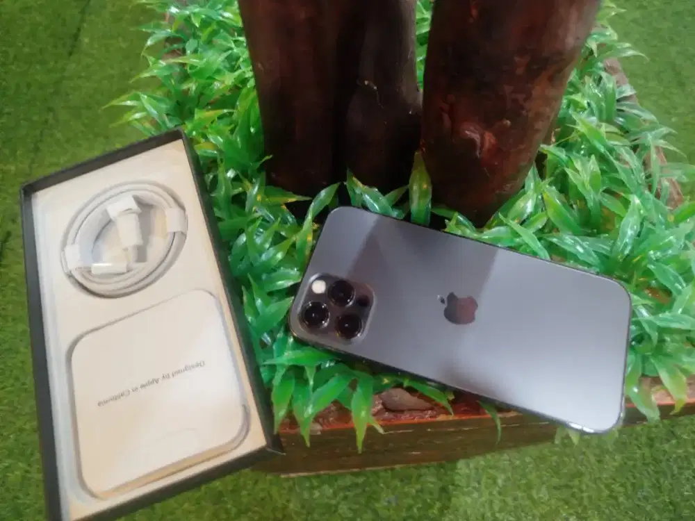 iPhone 11 pro 256gb kaum apple kurah