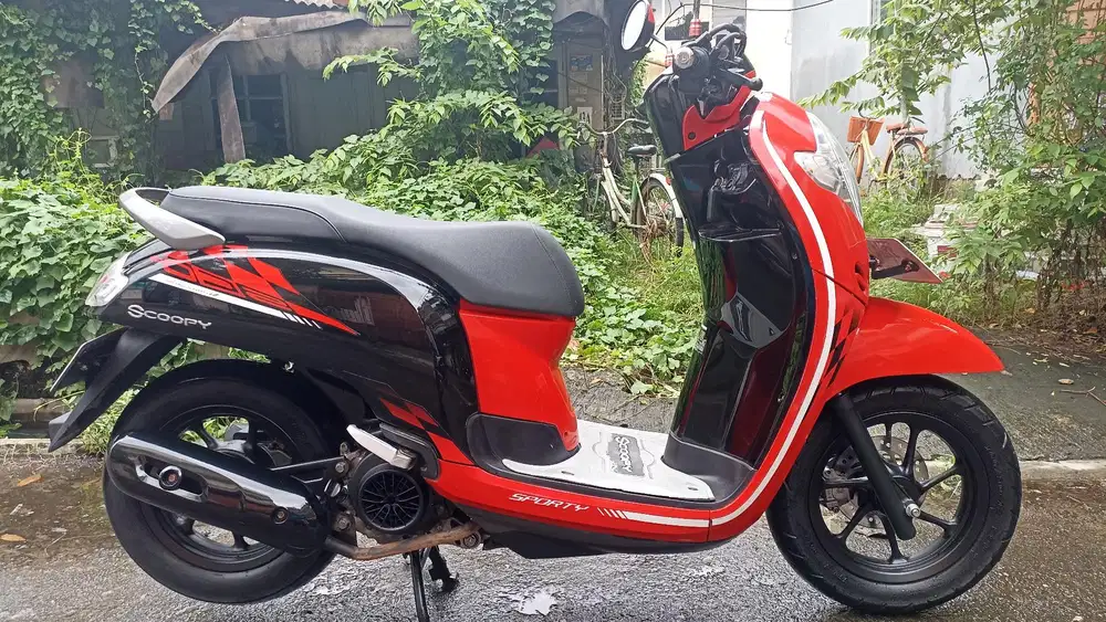 Honda Scoopy donuts tahun 2019. ( Pajak baru 2-2027 ).