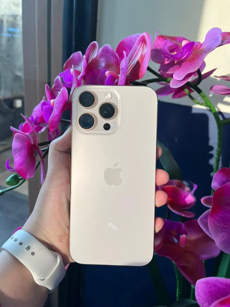 Dijual ip 16 promax 256 GB TITANIUM EX IBOX