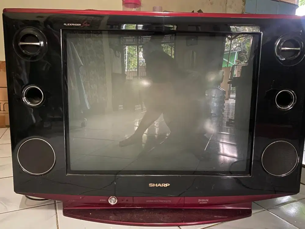 Tv Sharp NICM/A2 29A XS888RD