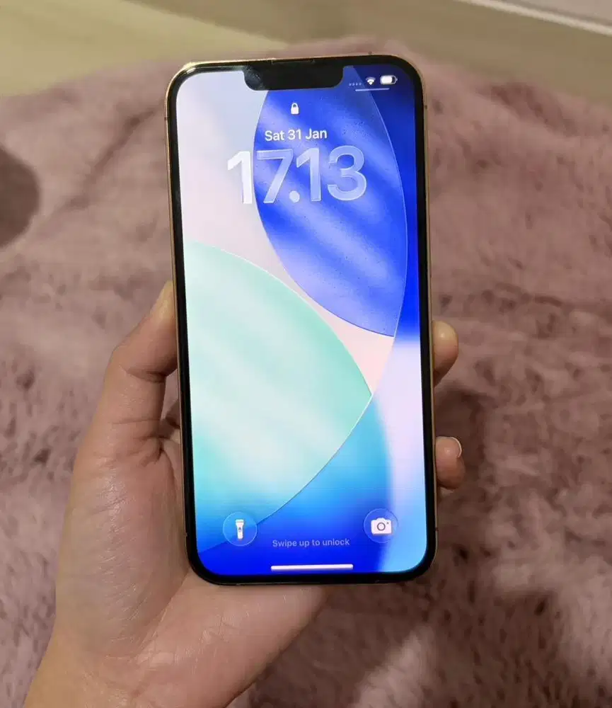 iPhone 13 Pro Max - 128gb