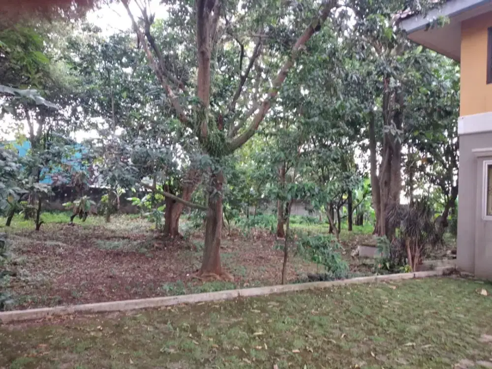 Dijual Kavling Depok - Cocok untuk Usaha