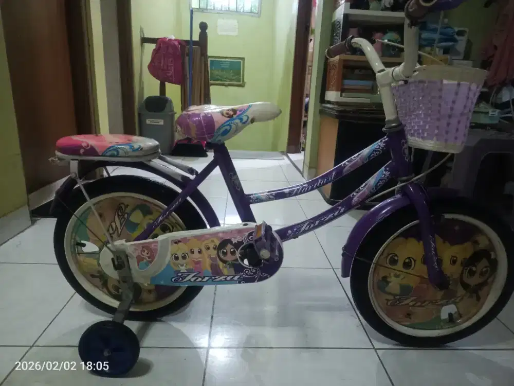 Sepeda anak perempuan ungu